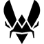 Team Vitality