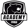 FURIA Academy