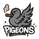 Pigeons